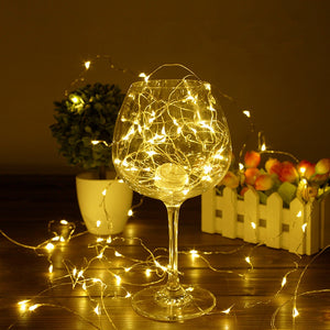 Silver Wire String Lights